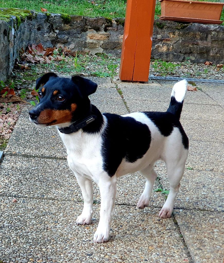 Vick Du Domaine Du Varandin