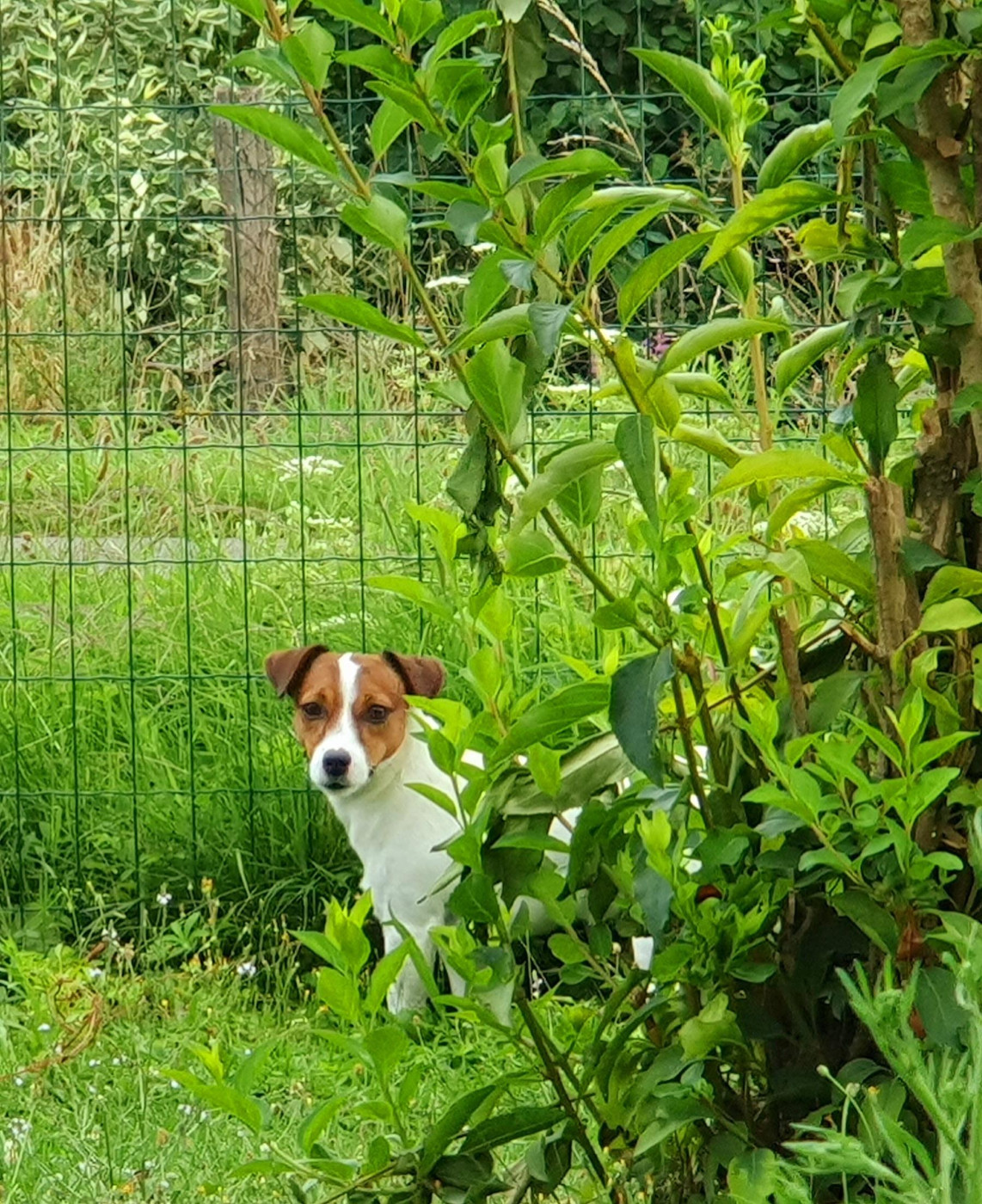 Mariage de Toscane en janvier 2026